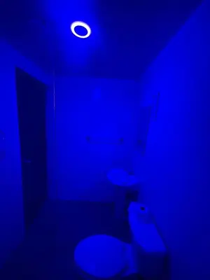 a blue bathroom with two toilets and a light at Mar azul 401 in San Felipe de Puerto Plata