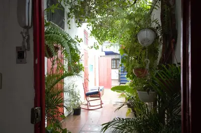 a hallway with plants and a chair in a building at La Puerta Roja Guest House in Santo Domingo