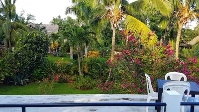a view of a garden with palm trees and flowers at La Belle Créole in Las Galeras