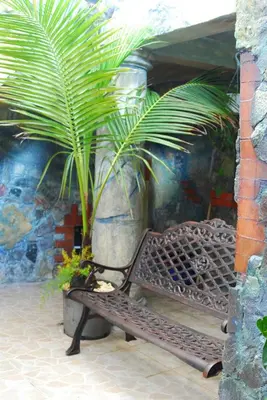 a bench with a palm tree next to a wall at Hotel Luis V Santo Domingo in Santo Domingo