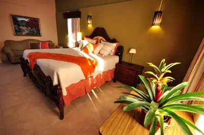 a bedroom with a bed and a plant in it at Hotel & Casino Flamboyan in Punta Cana