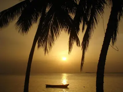 a boat in the ocean with a palm tree at Hotel Playa Colibri in Las Terrenas