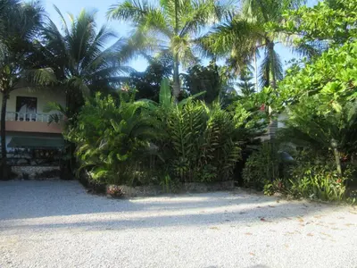a yard with palm trees and a house with a building at Hotel Cambri in Nagua