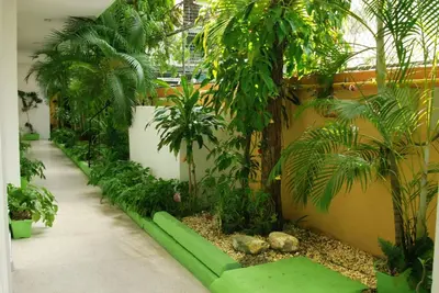 a garden with green plants and trees in a building at Royal Palace Hotel in Santo Domingo