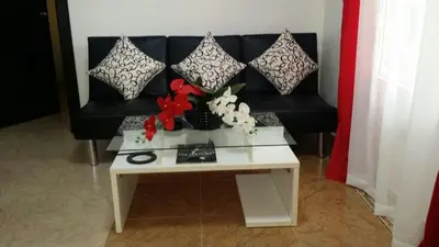 a black couch with pillows and flowers on a table at Apartamento Frente Al Mar in San Felipe de Puerto Plata