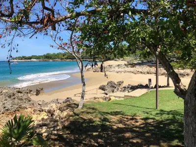 a view of a beach with a tree at Comfortable Apartment in Caribbean Paradise in Sosúa