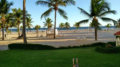 a sandy beach with palm trees and the ocean at Juan Dolio Costa del Sol in Juan Dolio