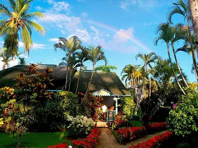 a house with palm trees and a rainbow in the sky at Las Palmas Eco Residence in Las Terrenas