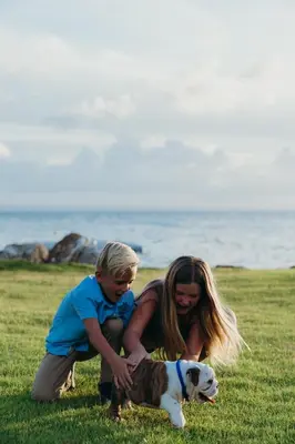 two children playing with a dog on the beach at The Bannister Hotel & Yacht Club by Mint in Santa Bárbara de Samaná