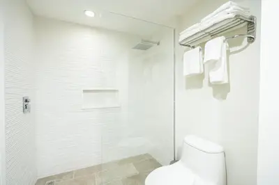a white bathroom with a shower and a toilet at Hodelpa Garden Court in Santiago de los Caballeros