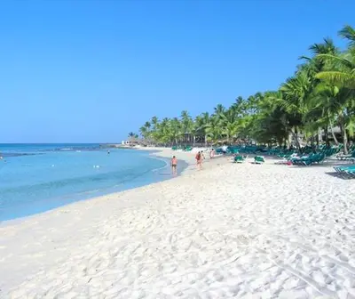 a beach with palm trees and people on it at Palma Real in Bayahibe