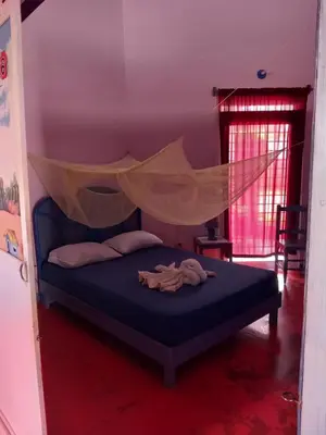 a bedroom with a bed with a mosquito net at Il Triangolo Hostel in Las Galeras