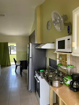 a kitchen with a stove and a microwave at Apartment in Plaza Europa in Sosúa