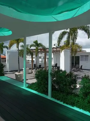 a view of a patio with palm trees and a building at Cozy apartment in exclusive area Bella Vista in Santo Domingo