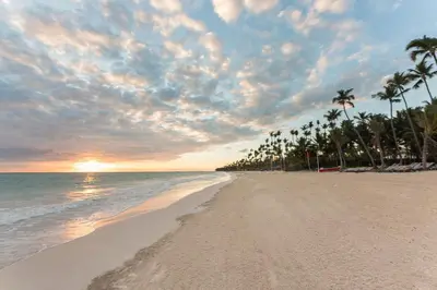a beach with palm trees and the ocean at sunset at Occidental Punta Cana - All Inclusive in Punta Cana