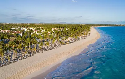 an aerial view of a beach with palm trees and the ocean at Occidental Punta Cana - All Inclusive in Punta Cana
