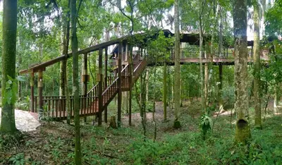 a tree house in the middle of the forest at Platon Ecolodge in Santa Cruz de Barahona