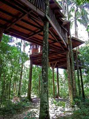 a tree house in the middle of the forest at Platon Ecolodge in Santa Cruz de Barahona