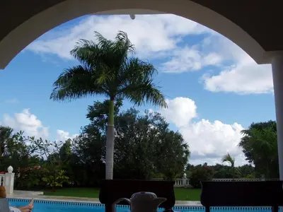 a palm tree sitting next to a swimming pool at 3br Villa with Vip Access - All Inclusive Program with Alcohol Included in San Felipe de Puerto Plata