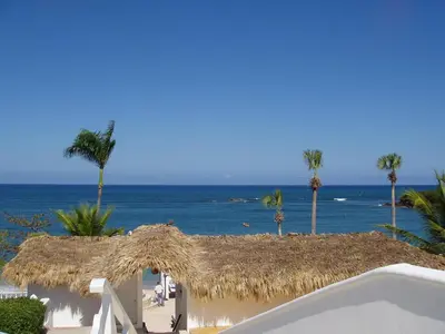 a view of a beach with palm trees and the ocean at 3br Villa with Vip Access - All Inclusive Program with Alcohol Included in San Felipe de Puerto Plata