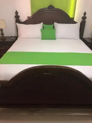 a large bed with a wooden headboard with green sheets at Paradise 3 cerro Altos in Santiago de los Caballeros