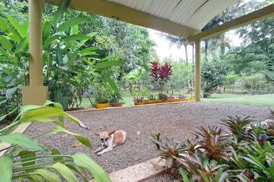 a dog laying on the ground in a garden at Casa Villa Anacahuita in Jarabacoa