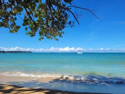 a view of a beach with a boat in the water at Las Terrenas, La Fenice, Playa Popy in Las Terrenas