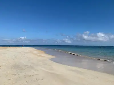 a sandy beach with the ocean in the background at Las Terrenas, La Fenice, Playa Popy in Las Terrenas