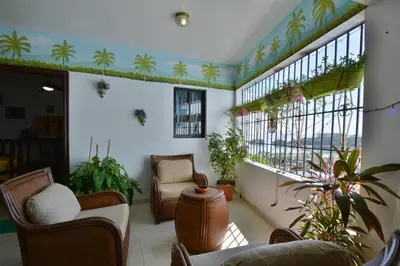 a living room with chairs and plants and windows at Villa Alégria in Santa Bárbara de Samaná