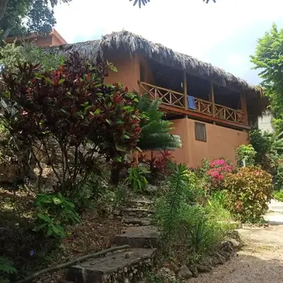 La Casa Del Arbol