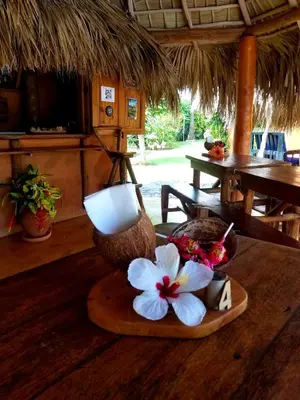 a plate with flowers on top of a table at Solazul in Las Galeras