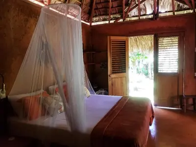 a bedroom with a bed with a mosquito net at Solazul in Las Galeras