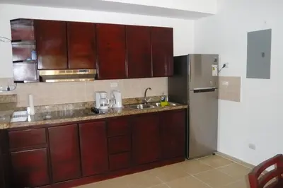 a kitchen with wooden cabinets and a stainless steel refrigerator at Pez 106 in Bayahibe