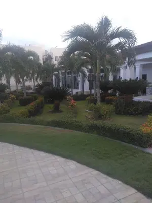 a park with palm trees and a building at PARADISE 3 Cerro Altos in Santiago de los Caballeros