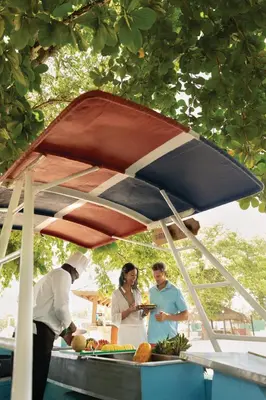 a group of people standing under an umbrella at Dreams La Romana All-Inclusive Resort & Spa in Bayahibe