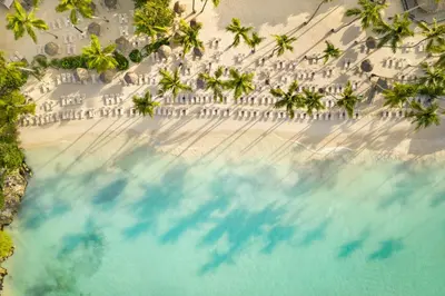 an aerial view of a beach with palm trees and buildings at Secrets La Romana All-Inclusive Adult Only Resort & Spa in Bayahibe