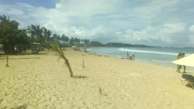 a beach with a palm tree and people on it at El Conde de Villa Rosa in Salado
