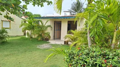 a house with a palm tree in the yard at El Conde de Villa Rosa in Salado