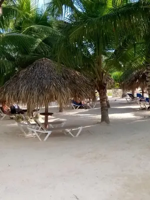 a beach with chairs and a straw umbrella and palm trees at Million View Room Adults Only Resort 3 in La Laguna