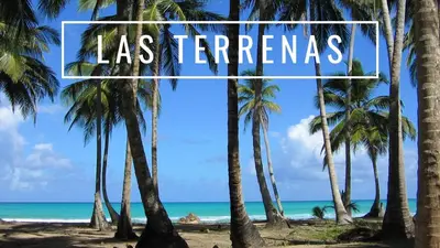 a beach with palm trees and the words las terrazas at 22 plaza rosada in Las Terrenas