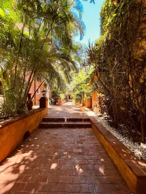 a cobblestone street with palm trees and a building at Paseo Colonial - Leo's Favorite #8 in Santo Domingo