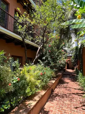 a garden with flowers and plants next to a building at Paseo Colonial - Leo's Favorite #8 in Santo Domingo