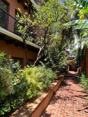 a garden with flowers and plants next to a building at Paseo Colonial - Ermitage #5 in Santo Domingo