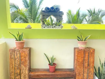 three potted plants sitting on a shelf on a wall at Hostel Eco Punta Cana in Punta Cana