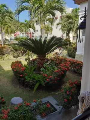 a garden with a palm tree and some flowers at SANTIAGO CITY in Santiago de los Caballeros