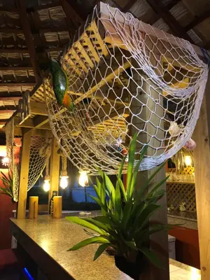 a bird is sitting in a net on a counter at Casa Azul Las Galeras in Las Galeras