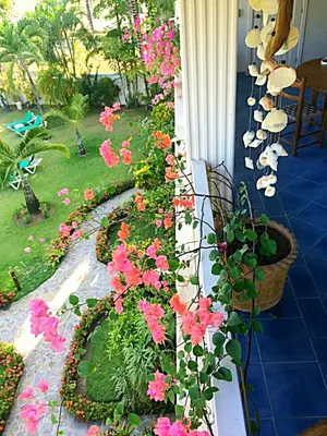 a garden with pink flowers and plants on a wall at La Dolce Vita 12 Beachfront Hotels, Las Terrenas, Samana in Las Terrenas