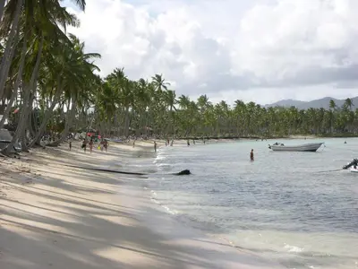 a beach with palm trees and a boat in the water at BUNGALOW 3111 OCEAN VIEW in Las Galeras