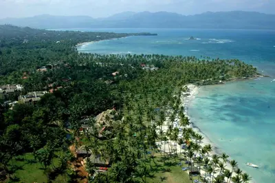 an aerial view of a beach with trees and the ocean at BUNGALOW 3111 OCEAN VIEW in Las Galeras