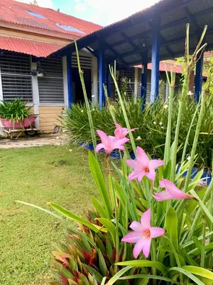 a group of pink flowers in front of a house at Campito Loving in Higuey